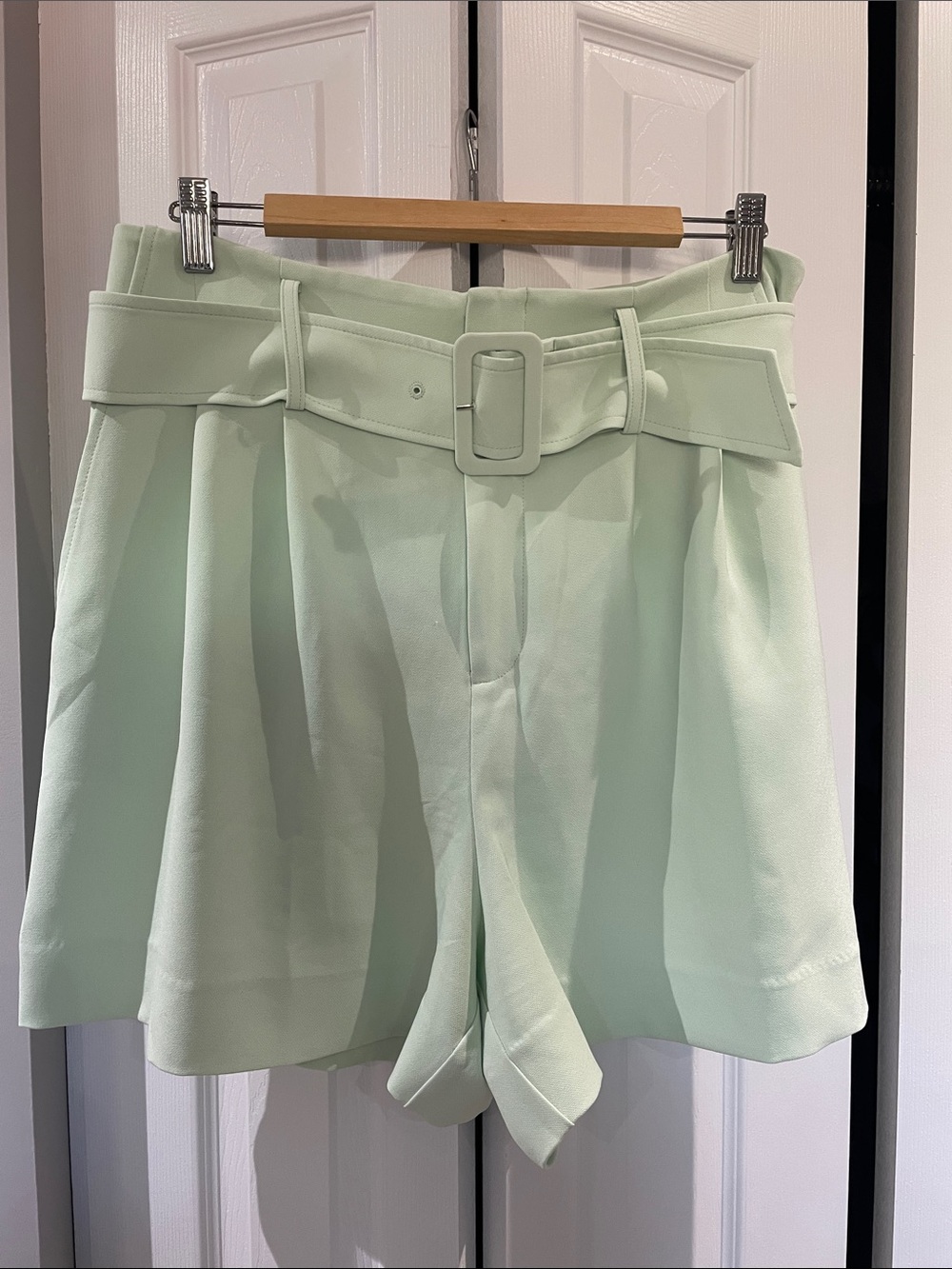 High-Waisted Mint Green Pleated Trouser Shorts